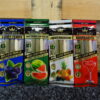 King Palm Minis - Image 2